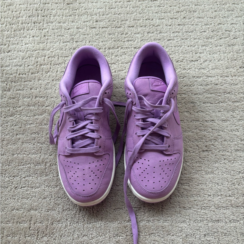 Nike Dunks Size 8 - Brand New Without Tags
